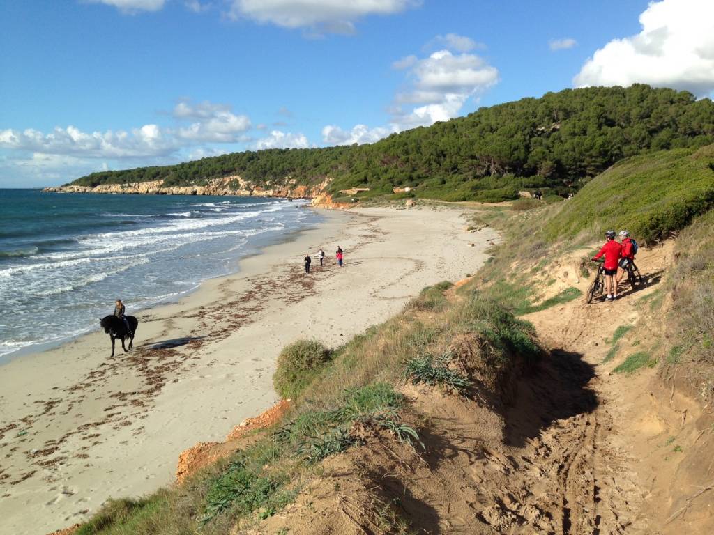 Minorque cami cavalls equitation plage